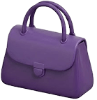 Fashion Accessories category icon