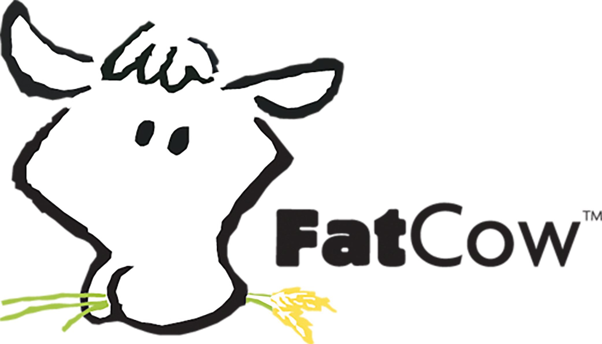 FatCow-coupons