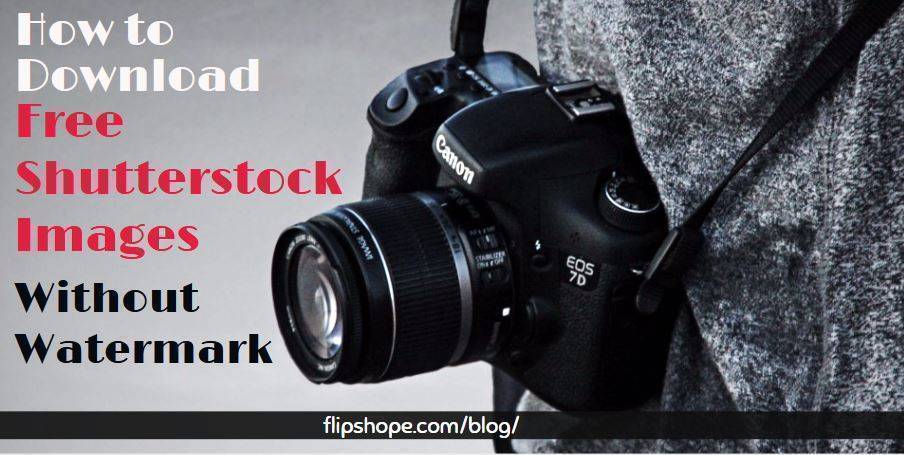 How To Download Free Shutterstock Images for Free Without ...